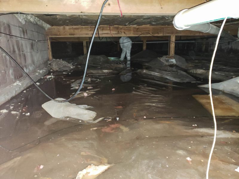 Sealed Crawlspace Walls